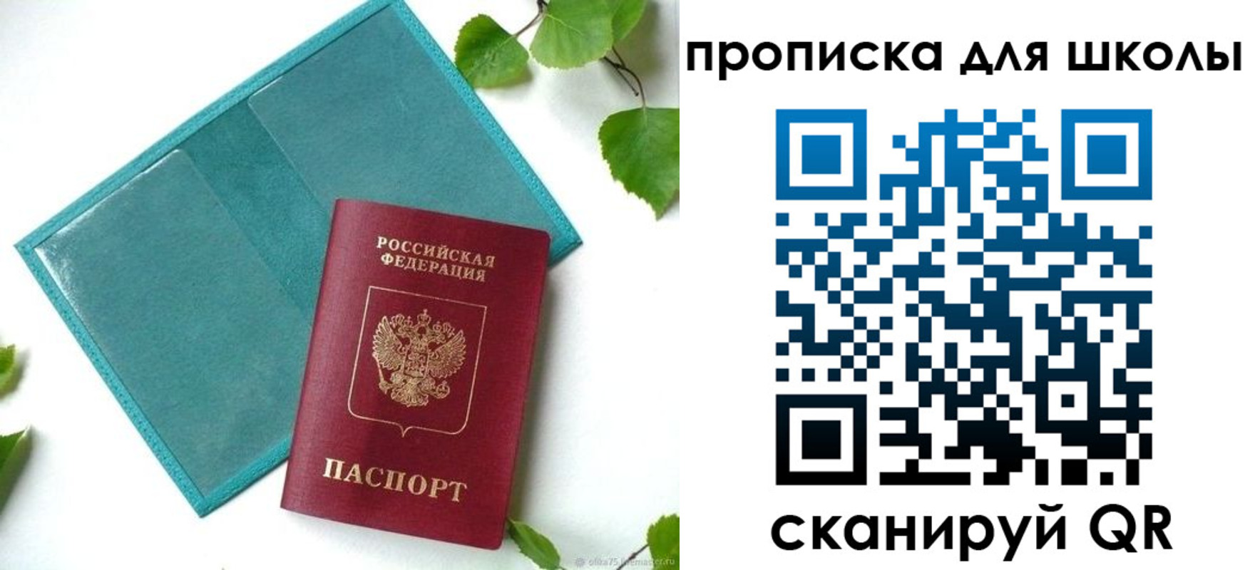 прописка в Ковдоре